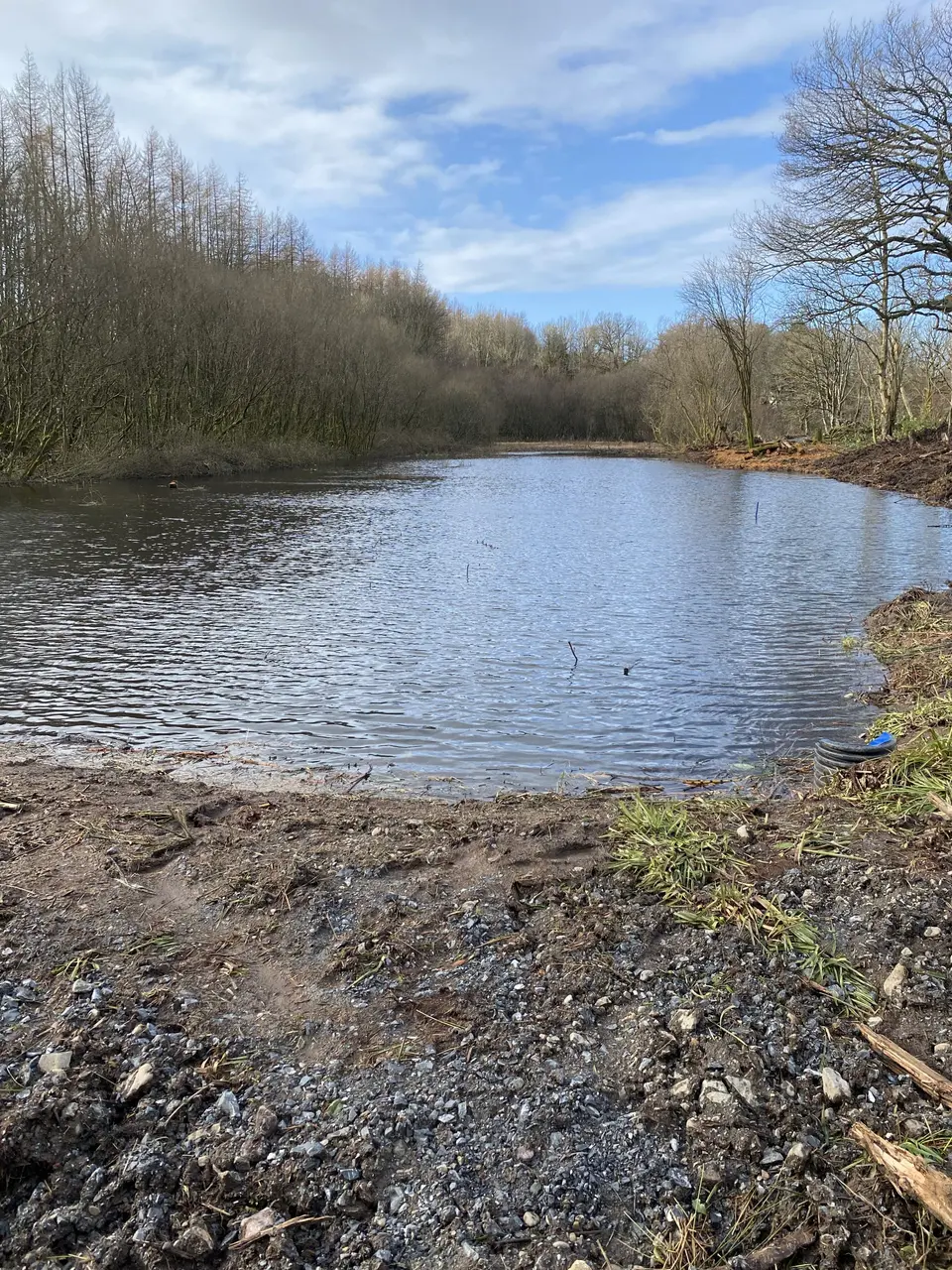 The Curling Pond, August 2022: curling pond