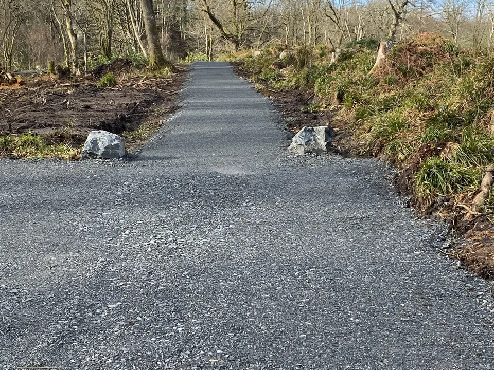 The Curling Pond, February 2022: path