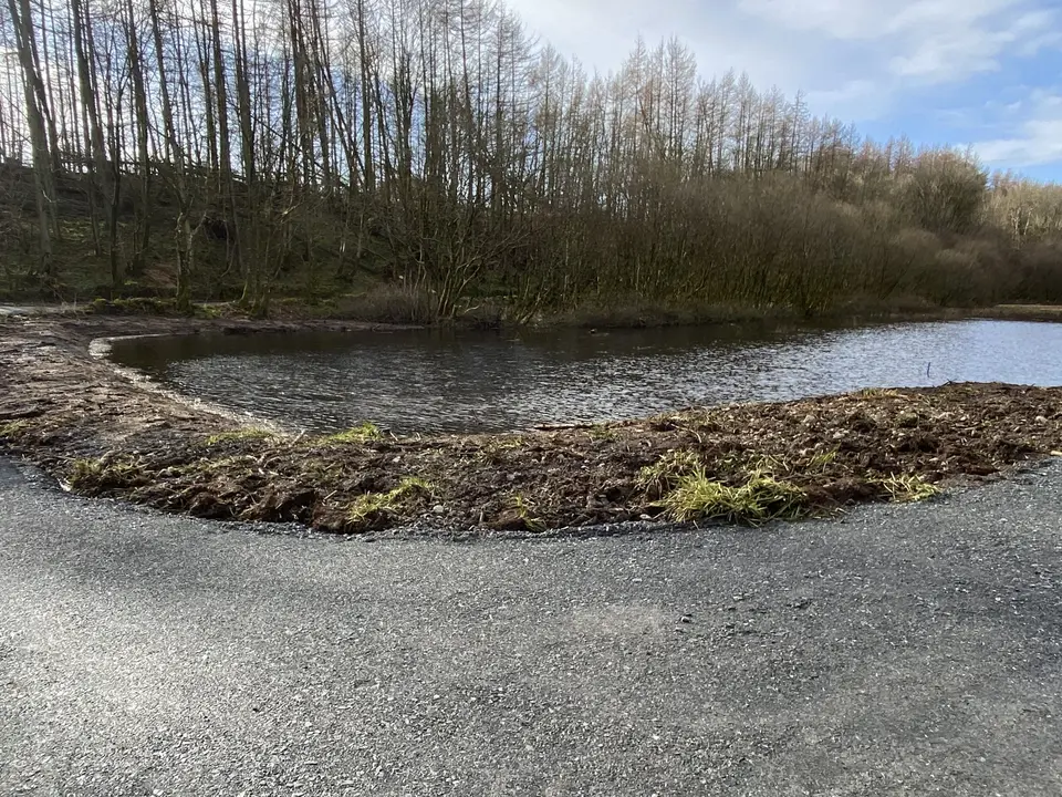 The Curling Pond, February 2022: curling pond