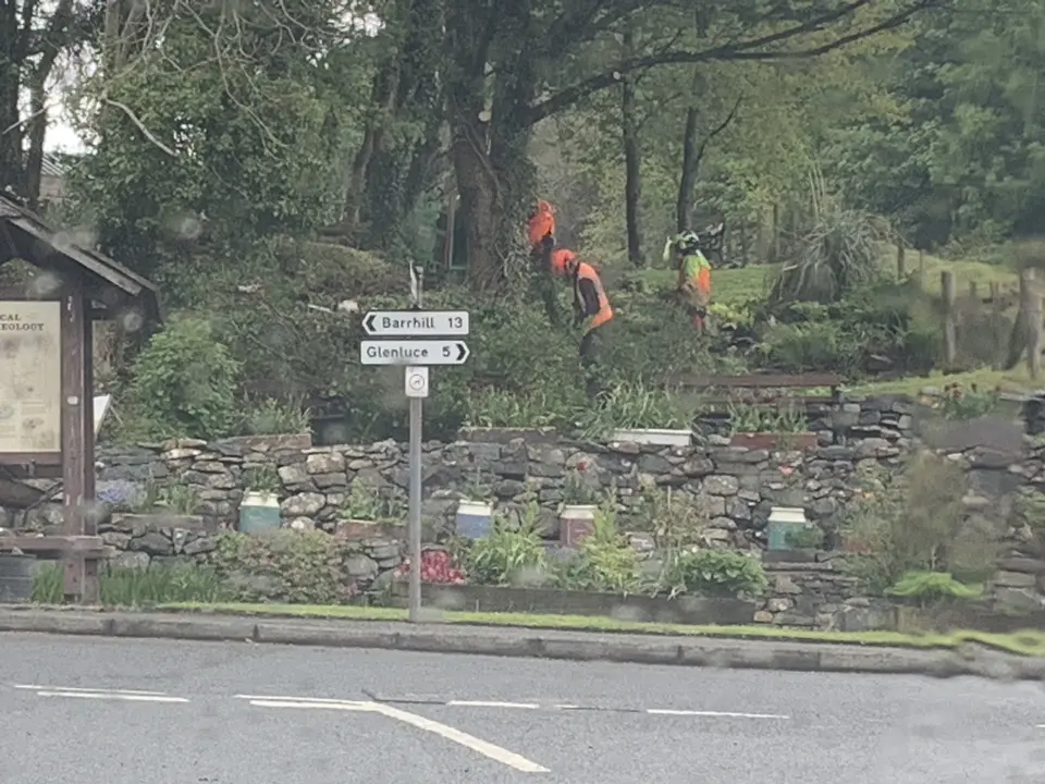 Tidying the woodland at the school woods, April 2019