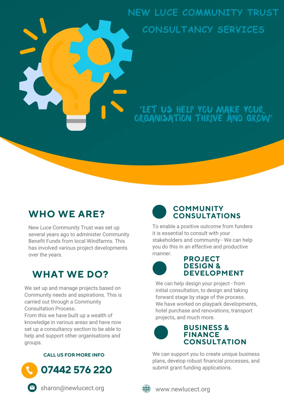 New Luce Consultancy Services flyer: community consultations, project design and development, and business and finance help