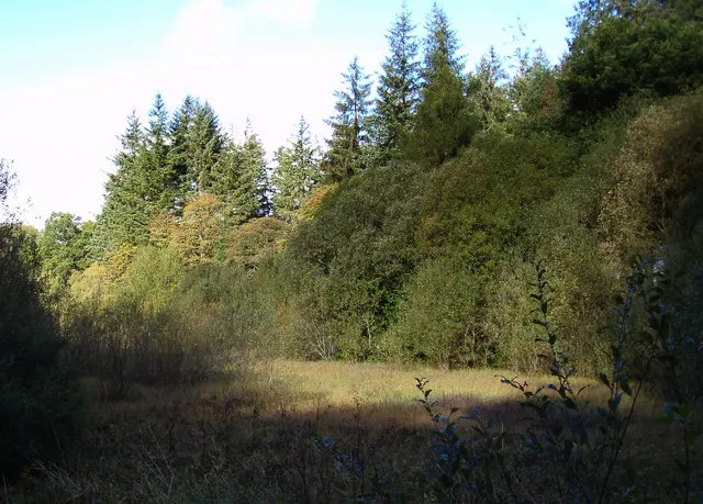 The Curling Pond site, September 2019