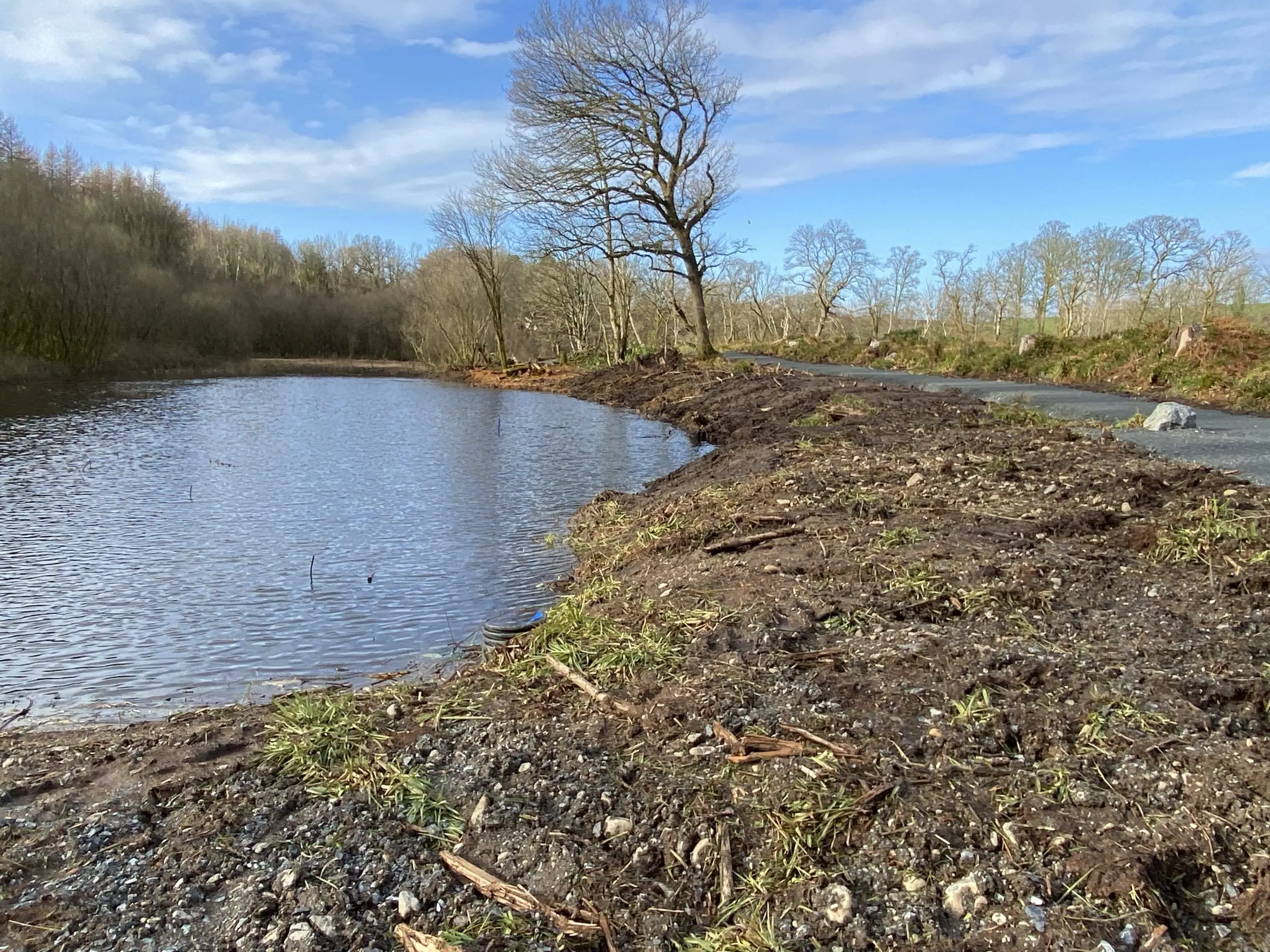 The restored curling pond at the Loch of Larg: still water edged by reeds and bare trees under a blue sky