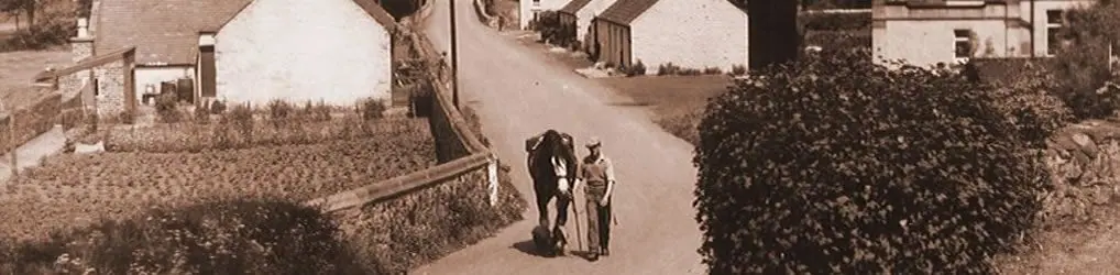 A sepia photograph of New Luce's Main Street in years gone by: a man leads a horse past whitewashed cottages and gardens